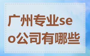 广州专业seo公司有哪些