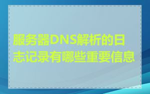 服务器DNS解析的日志记录有哪些重要信息