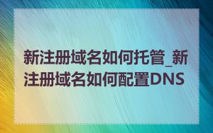 新注册域名如何托管_新注册域名如何配置DNS