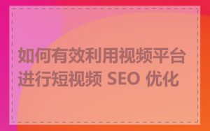 如何有效利用视频平台进行短视频 SEO 优化