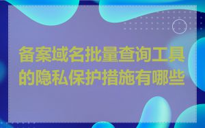备案域名批量查询工具的隐私保护措施有哪些