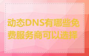动态DNS有哪些免费服务商可以选择