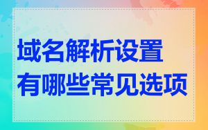 域名解析设置有哪些常见选项