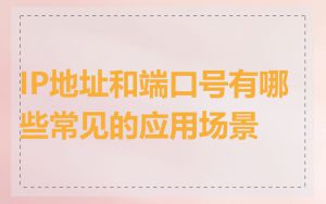 IP地址和端口号有哪些常见的应用场景