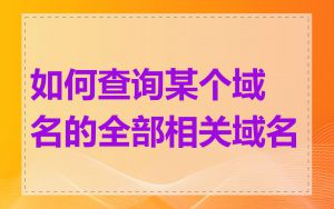 如何查询某个域名的全部相关域名