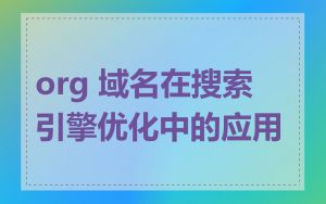 org 域名在搜索引擎优化中的应用