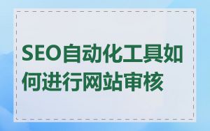 SEO自动化工具如何进行网站审核