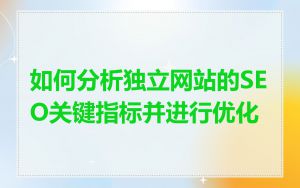 如何分析独立网站的SEO关键指标并进行优化