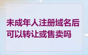 未成年人注册域名后可以转让或售卖吗