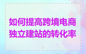 如何提高跨境电商独立建站的转化率