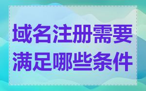 域名注册需要满足哪些条件