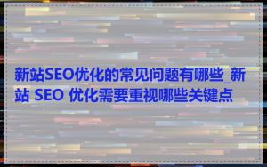 新站SEO优化的常见问题有哪些_新站 SEO 优化需要重视哪些关键点