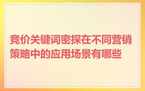 竞价关键词密探在不同营销策略中的应用场景有哪些