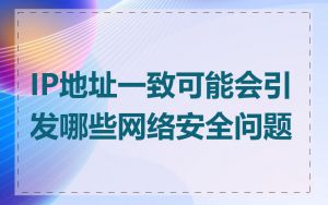 IP地址一致可能会引发哪些网络安全问题
