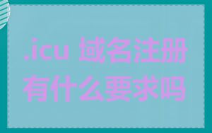 .icu 域名注册有什么要求吗