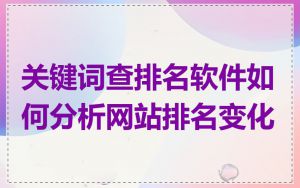 关键词查排名软件如何分析网站排名变化