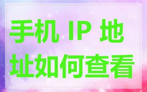 手机 IP 地址如何查看