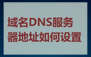域名DNS服务器地址如何设置