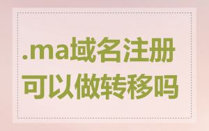 .ma域名注册可以做转移吗