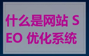 什么是网站 SEO 优化系统