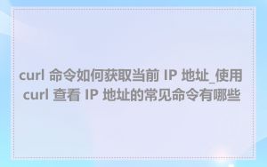 curl 命令如何获取当前 IP 地址_使用 curl 查看 IP 地址的常见命令有哪些
