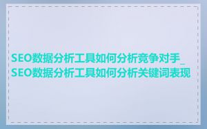 SEO数据分析工具如何分析竞争对手_SEO数据分析工具如何分析关键词表现