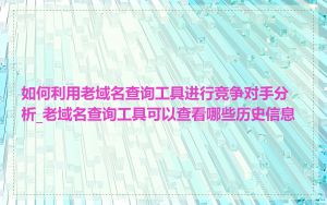 如何利用老域名查询工具进行竞争对手分析_老域名查询工具可以查看哪些历史信息