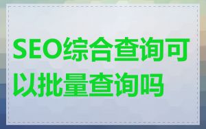 SEO综合查询可以批量查询吗