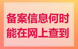 备案信息何时能在网上查到