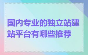 国内专业的独立站建站平台有哪些推荐