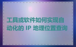 工具或软件如何实现自动化的 IP 地理位置查询