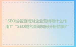 "SEO域名查询对企业营销有什么作用?"_"SEO域名查询如何分析结果?"