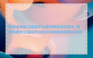 跨境电商独立建站平台提供哪些语言版本_跨境电商独立建站平台如何帮助提高销售转化率