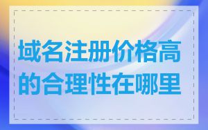 域名注册价格高的合理性在哪里