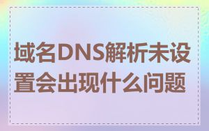 域名DNS解析未设置会出现什么问题