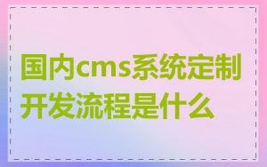 国内cms系统定制开发流程是什么