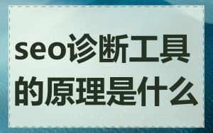 seo诊断工具的原理是什么