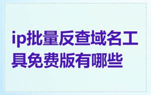 ip批量反查域名工具免费版有哪些