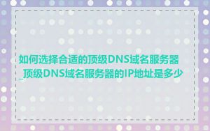如何选择合适的顶级DNS域名服务器_顶级DNS域名服务器的IP地址是多少