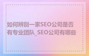 如何辨别一家SEO公司是否有专业团队_SEO公司有哪些