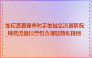 如何查看竞争对手的域名流量情况_域名流量报告包含哪些数据指标
