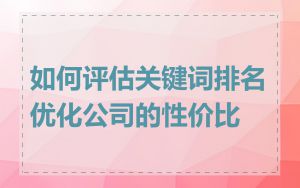 如何评估关键词排名优化公司的性价比
