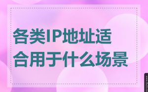 各类IP地址适合用于什么场景