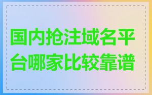 国内抢注域名平台哪家比较靠谱