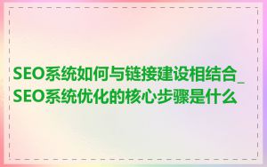 SEO系统如何与链接建设相结合_SEO系统优化的核心步骤是什么