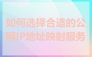 如何选择合适的公网IP地址映射服务