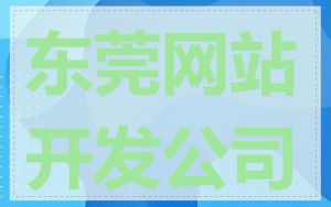 东莞网站开发公司