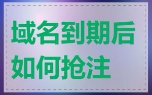 域名到期后如何抢注