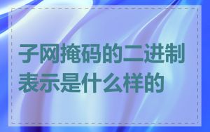 子网掩码的二进制表示是什么样的