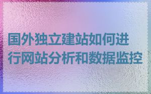 国外独立建站如何进行网站分析和数据监控